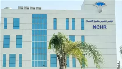 أستاذ قانون يستعرض ضوابط تشكيل المجلس القومي لحقوق الإنسان