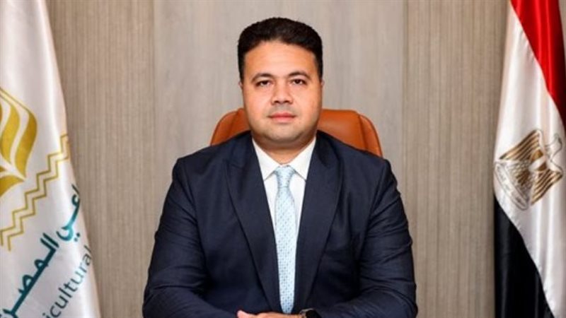 رئيس مجموعة مخاطر