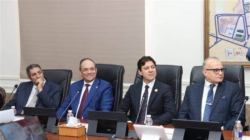 قضايا الدولة 