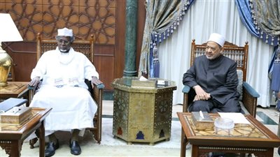 شيخ الأزهر يبحث مع وزير التعليم العالي التشادي تعزيز التعاون الدعوي والعلمي 
