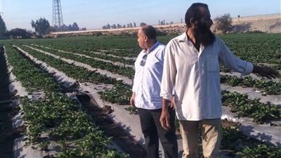 حملة مكثفة لـ