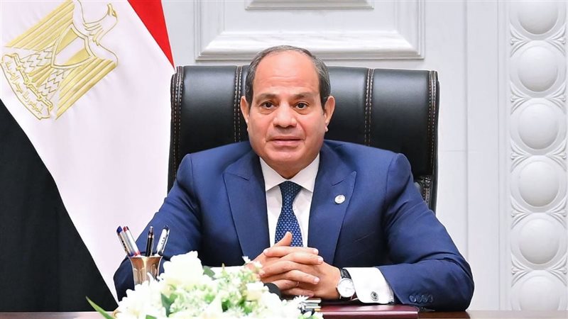 الرئيس السيسي، فيتو