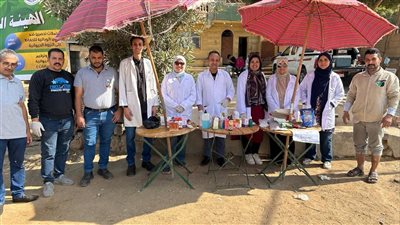 محافظة الجيزة تطلق قوافل بيطرية مجانية لرعاية الخيول والجمال بالمنطقة الأثرية بالأهرامات