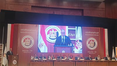 بنداري: مصر منارة للديمقراطية وشعبها البطل الحقيقي في الانتخابات النيابية