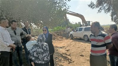 تحرك عاجل بالغربية بعد العثور على حيوانات نافقة، حملة تطهير تنقذ السنطة من كارثة بيئية