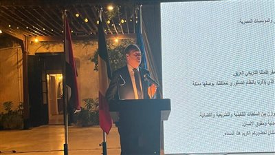 سفير بلجيكا بالقاهرة: مصر تتولى دورا قياديا وعلاقتنا معها استراتيجية