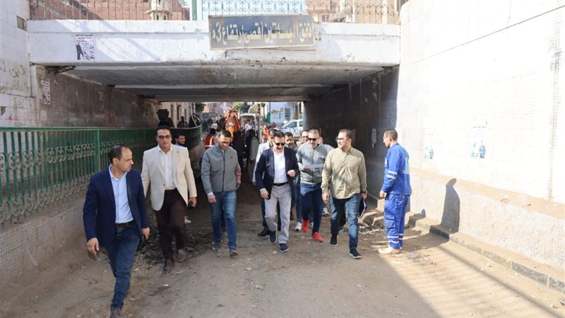 محافظ المنوفية يتفقد