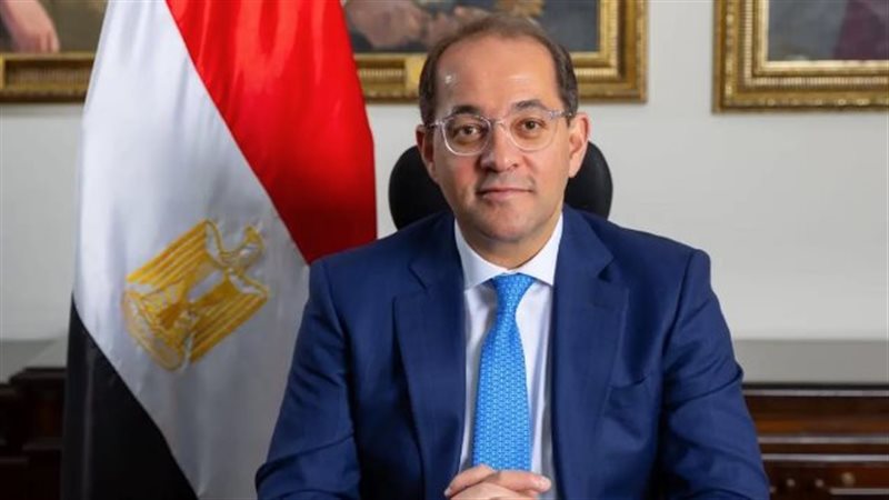وزير المالية