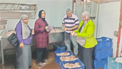 ضبط 5.4 طن دجاج وشاورما غير صالحة في حملة تموينية بأجا بالدقهلية 