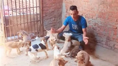 حول منزله إلى مأوى للحيوانات الضالة، تفاصيل مقتل شاب على يد صديقه بالشرقية (صور)