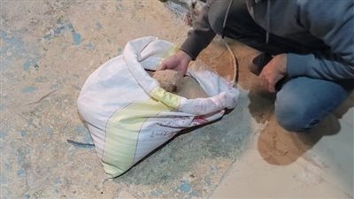 فرع هيئة السلامة الغذائية بالإسماعيلية يجرى 27 حملة للتفتيش على المنشآت الغذائية 