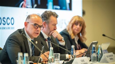 رئيس الرقابة المالية يترأس اجتماعات لجنة الأسواق المالية الناشئة والنامية في مالطا