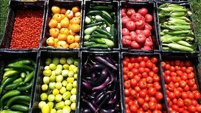  أسعار الخضار اليوم، الطماطم بـ 6 جنيهات وارتفاع كبير في الليمون البلدي 