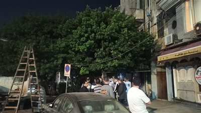 محافظة الإسكندرية تزيل خطورة شجرة أمام كوبري الجامعة 