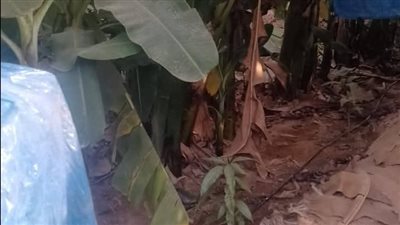 بدء أعمال لجان تعويضات خط غاز السليمانية بمحافظة الجيزة