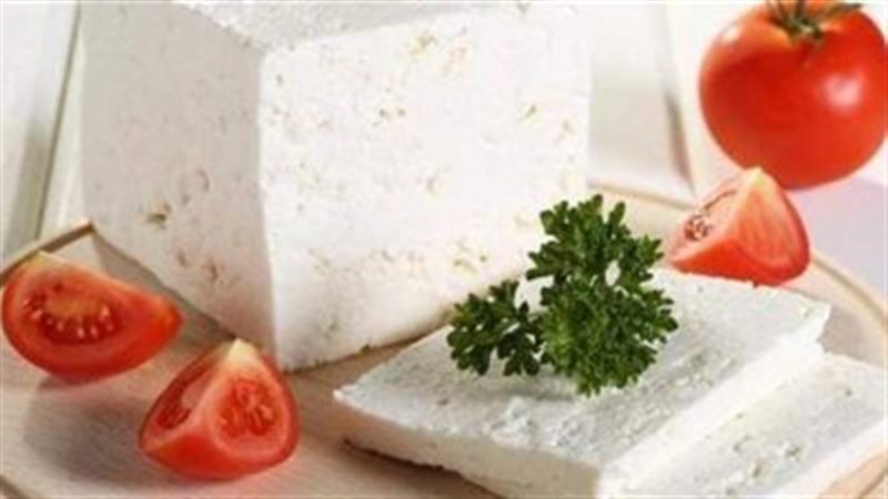 الجبن 