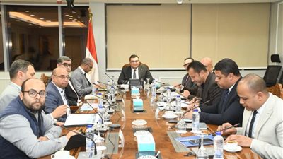 الإسكان تستعرض تنفيذ مرافق المناطق الصناعية وشبكات الكهرباء بالمدن الجديدة