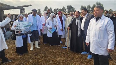 بيطري الشرقية: ضبط 328 طن لحوم مذبوحة خارج المجازر