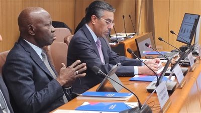 اجتماعات مجلس العمل الدولية، مصر تؤكد دعمها الكامل للحقوق المشروعة للشعب الفلسطيني