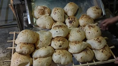 تحرير 45 مخالفة للمخابز في حملة تموينية بالفيوم