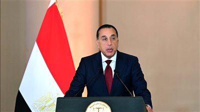 الحكومة: سيتم الانتهاء من مشروع الضبعة النووي بحلول 2029 (فيديو)