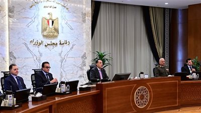 التعليم العالي: مجلس الوزراء يوافق على إنشاء الجامعة الدولية للعلوم والفنون والتكنولوجيا