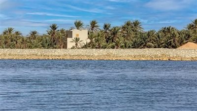 الري: إنشاء محطة رفع لنقل جزء من مياه بحيرة بهي الدين لمنخفض عين الجنبي (صور)