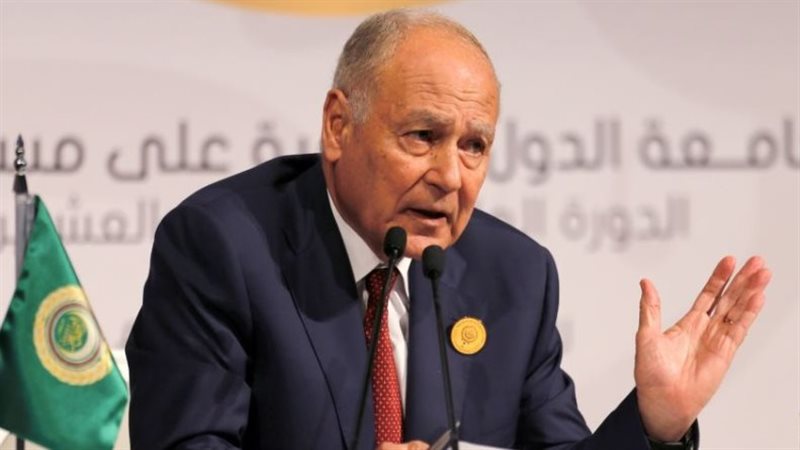 أحمد أبو الغيط، الأمين