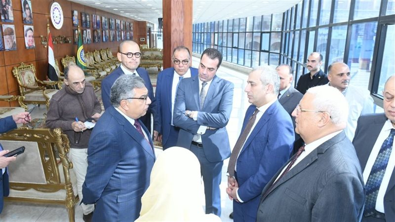 محافظ الدقهلية، فيتو