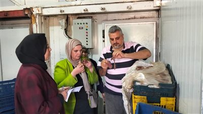 تحرير 650 مخالفة بأسواق ومخابز الدقهلية خلال أسبوع