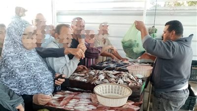 الأسماك بـ40 جنيها، إقبال على معرض السلع الغذائية بشارع قناة السويس بالمنصورة 