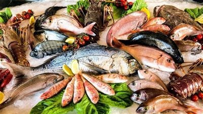 سعر السمك اليوم، انخفاض البوري والكابوريا والبلطي 