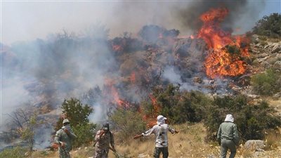 إيران تطلب مساعدة خارجية لإخماد حريق مستعر منذ أيام في غابات چالوس