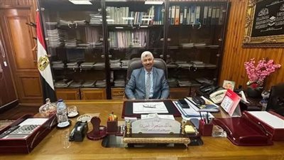 جنوب الدلتا لتوزيع الكهرباء تنهي خطة تأمين تغذية المرحلة الثانية من انتخابات النواب