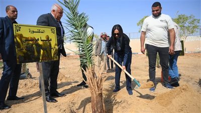 وزيرة التضامن الاجتماعي تغرس نخلة في حديقة 30 يونيو بالوادي الجديد