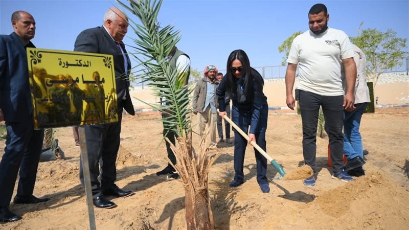 وزيرة التضامن الاجتماعي