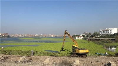 استمرار أعمال إزالة ورد النيل وتطهير مجرى النهر بدمياط