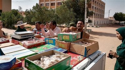 حملات تموينية على مخابز الوادي الجديد