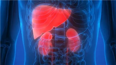 مشروبات ديتوكس طبيعية لتنظيف الكبد والكلى وطرد السموم من الجسم 