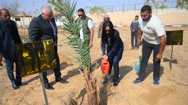 مايا مرسي وزيرة التضامن،