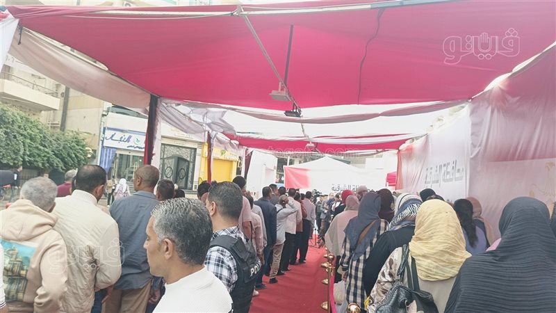 انتخابات مجلس النواب،فيتو