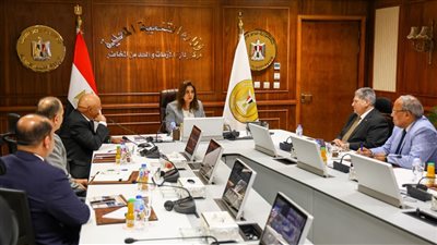 وزيرة التنمية المحلية تتابع سير انتخابات النواب بمحافظات المرحلة الثانية 