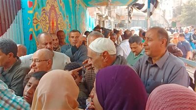 مخالفة انتخابية بالمحلة، ضبط مندوب مرشح مستقل بحوزته مبالغ مالية وبطاقات هوية