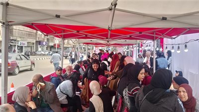 انتخابات النواب 2025، السيدات تتصدر المشهد أمام 3 لجان في الدقهلية 