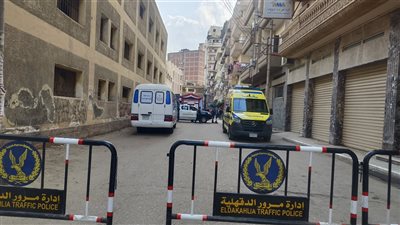  81 سيارة إسعاف تنتشر بمحيط لجان انتخابات نواب 2025 في الدقهلية 