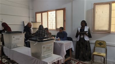 حالات بطلان الصوت في انتخابات مجلس النواب 2025