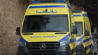 انتخابات النواب، سيارات إسعاف وفريق من الهلال الأحمر أمام لجنة مصطفى يسري بمصر الجديدة