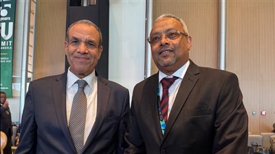 الأمن المائي المصري، تفاصيل لقاء وزير الخارجية ونظيره الجيبوتي 