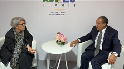  وزير الخارجية لـ مبعوثة الاتحاد الأوروبي: مصر ترفض حكومة موازية بالسودان