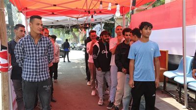 تعرف على الدوائر الملغاة بحكم القضاء في المرحلة الأولى ومواعيد إجراء الانتخابات بها